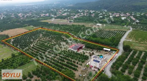Kızlarçay'ında Satılık Çiftlik Evi ve Bahçe
