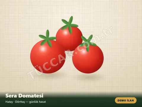 Sera Domatesi — Demo İlan (test amaçlıdır)