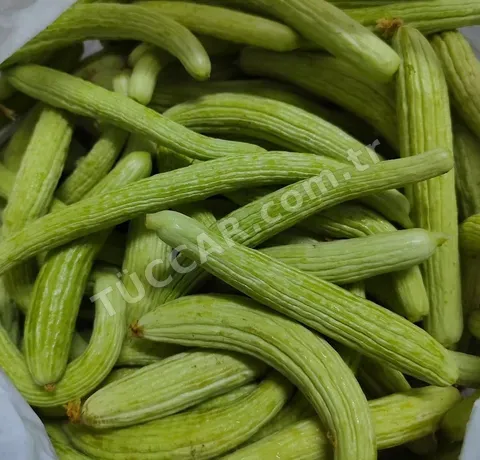 Tarladan Sofranıza