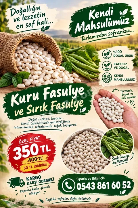 Kuru şeker fasulyesi kendi üretimmiz