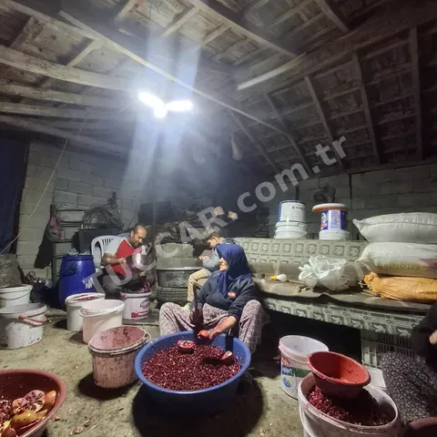 Nar ekşisi