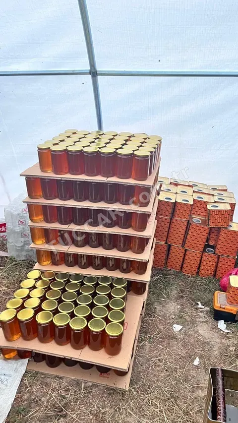 Palandöken Şekersiz Doğal Bal