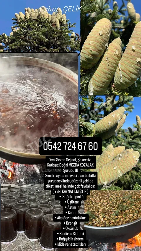Mezda kozalak şurubu şekersiz Orjinal 