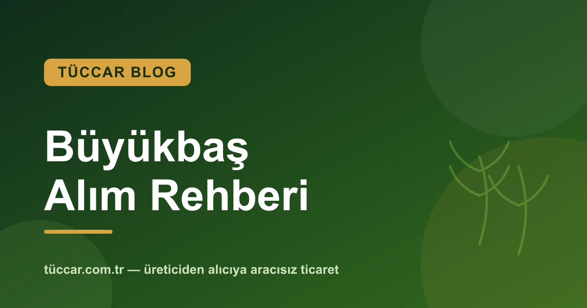 Büyükbaş Hayvan Alırken Nelere Dikkat Edilmeli?