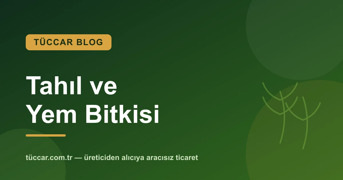 Tahıl, Yağlı Tohum ve Yem Bitkisi İlanı Nasıl Verilir?